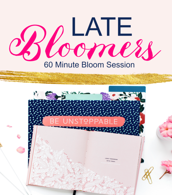 Late Bloomers Coaching: 60 Minute Session